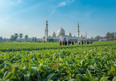 PERHEPI Komisariat Kendari mengucapkan Selamat Hari Raya Idul Fitri 1 Syawal 1447 H ✨🌙 PERHEPI Komisariat Kendari mengucapkan Selamat Hari Raya Idul Fitri 1 Syawal 1447 H ✨🌙