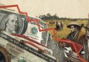 Rupiah Melemah, Kenapa Pemerintah Tidak Panik? Ini Dampaknya bagi Masyarakat dan Sektor Pertanian Indonesia